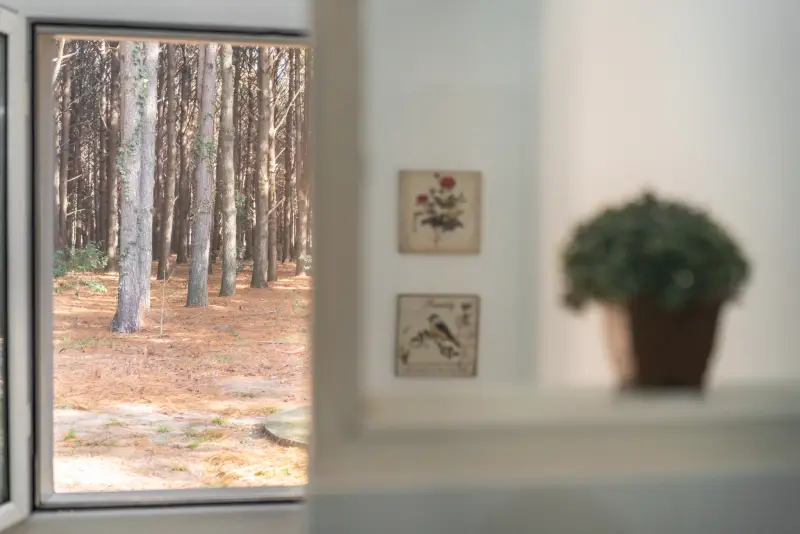 Ventana con vista al bosque
