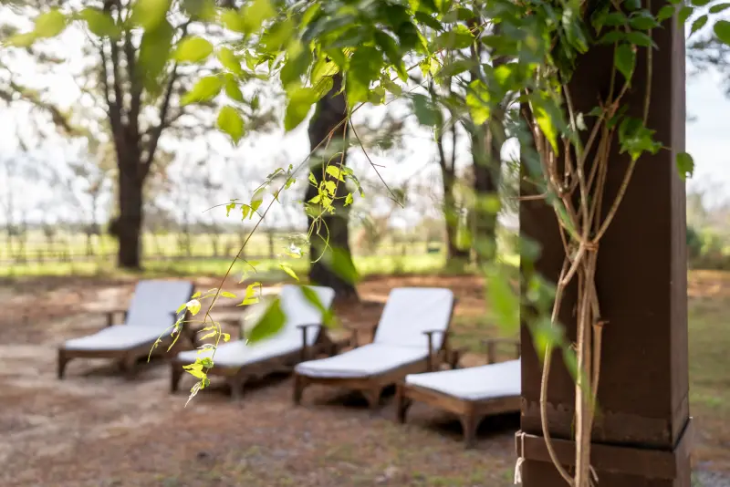 Reposeras en el jardín